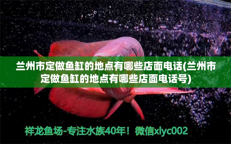 兰州市定做鱼缸的地点有哪些店面电话(兰州市定做鱼缸的地点有哪些店面电话号) 奈及利亚红圆点狗头 第2张