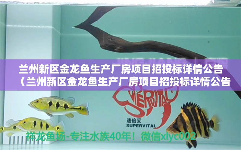 兰州新区金龙鱼生产厂房项目招投标详情公告（兰州新区金龙鱼生产厂房项目招投标详情公告） 祥龙水族医院