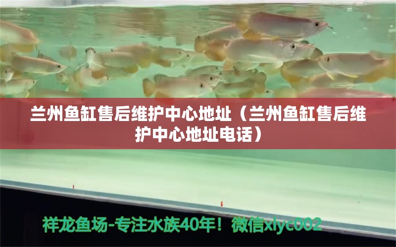 兰州鱼缸售后维护中心地址（兰州鱼缸售后维护中心地址电话） 其他品牌鱼缸