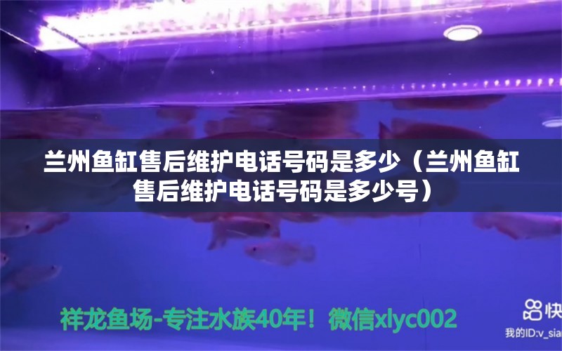 兰州鱼缸售后维护电话号码是多少（兰州鱼缸售后维护电话号码是多少号）