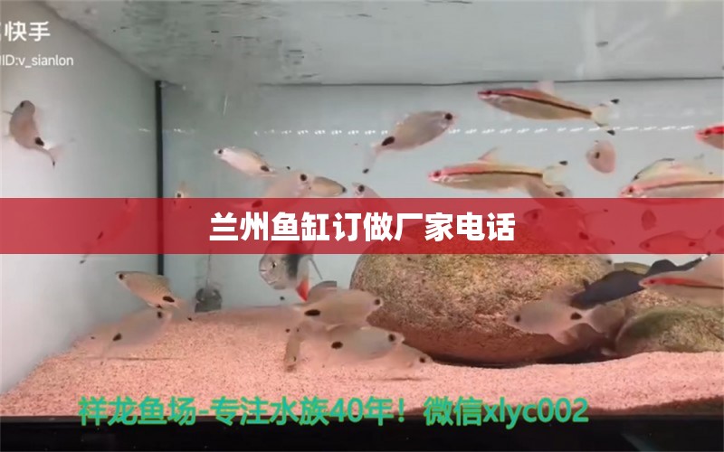 兰州鱼缸订做厂家电话