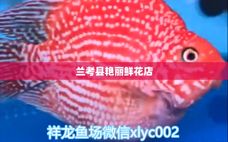 兰考县艳丽鲜花店 全国水族馆企业名录