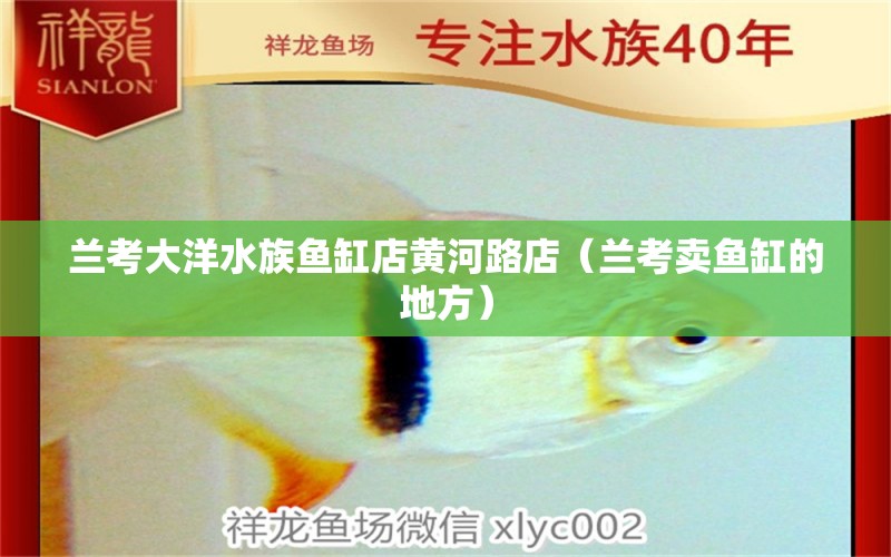 兰考大洋水族鱼缸店黄河路店（兰考卖鱼缸的地方） 全国水族馆企业名录