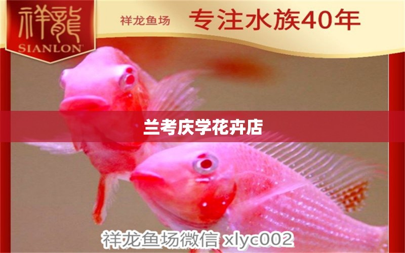 兰考庆学花卉店 全国水族馆企业名录