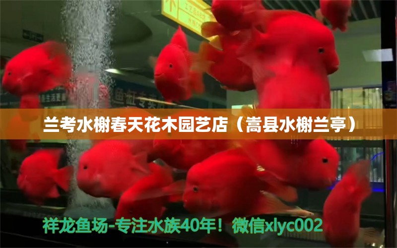 兰考水榭春天花木园艺店（嵩县水榭兰亭） 全国水族馆企业名录