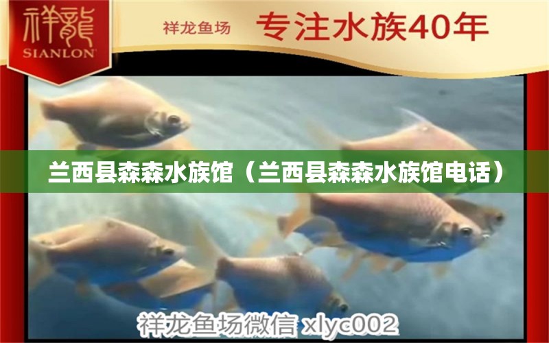 兰西县森森水族馆（兰西县森森水族馆电话） 全国水族馆企业名录