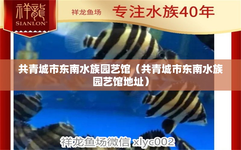 共青城市东南水族园艺馆（共青城市东南水族园艺馆地址） 全国水族馆企业名录