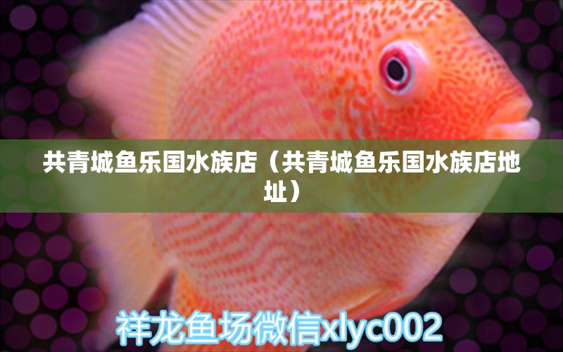 共青城鱼乐国水族店（共青城鱼乐国水族店地址）