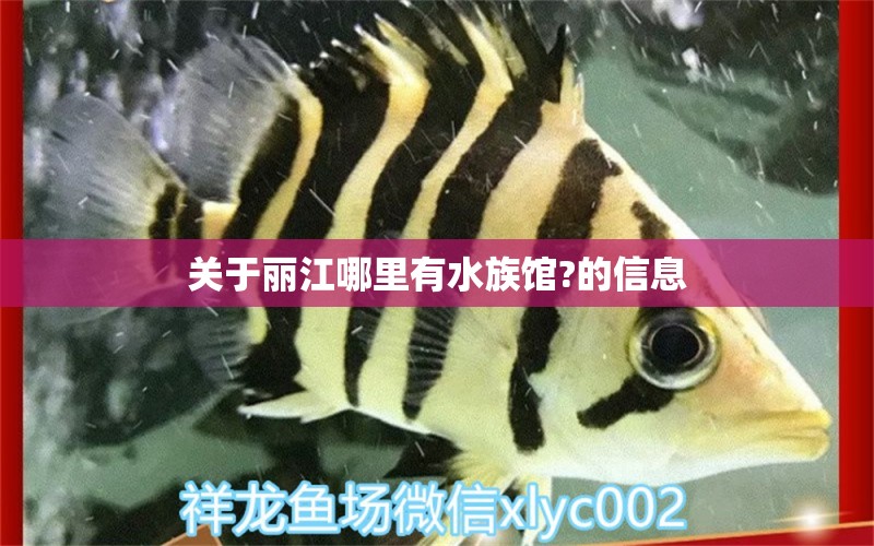 关于丽江哪里有水族馆?的信息 造景/装饰