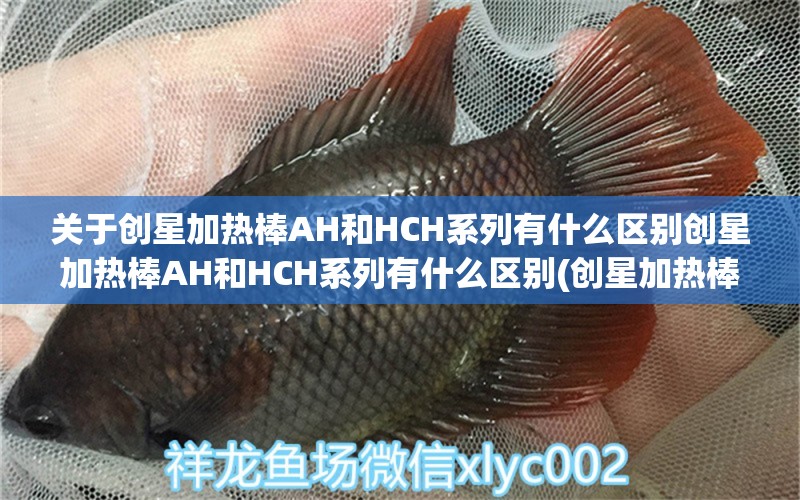 关于创星加热棒AH和HCH系列有什么区别创星加热棒AH和HCH系列有什么区别(创星加热棒ah和hch系列有什么区别)的信息