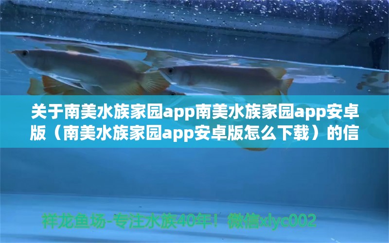 关于南美水族家园app南美水族家园app安卓版（南美水族家园app安卓版怎么下载）的信息