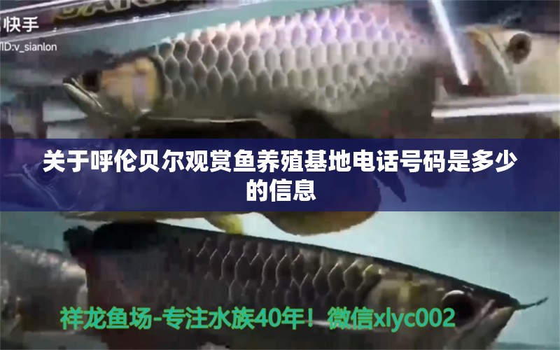 关于呼伦贝尔观赏鱼养殖基地电话号码是多少的信息 iwish爱唯希品牌鱼缸 第1张