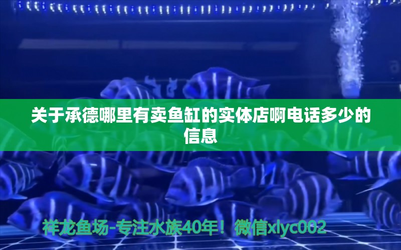 关于承德哪里有卖鱼缸的实体店啊电话多少的信息 水族杂谈