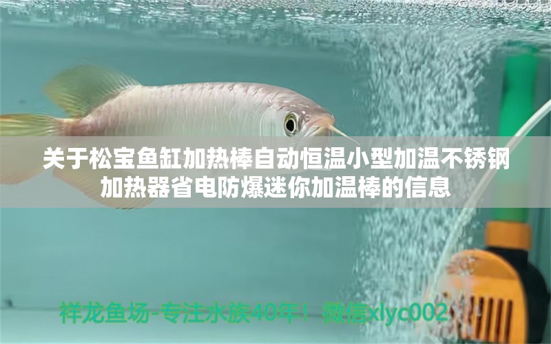 关于松宝鱼缸加热棒自动恒温小型加温不锈钢加热器省电防爆迷你加温棒的信息