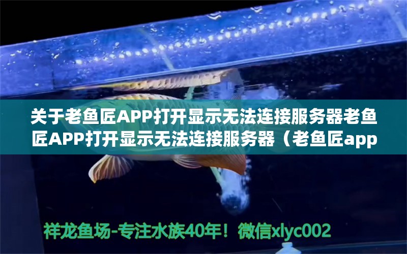 关于老鱼匠APP打开显示无法连接服务器老鱼匠APP打开显示无法连接服务器（老鱼匠app打开显示无法连接服务器怎么解决）的信息