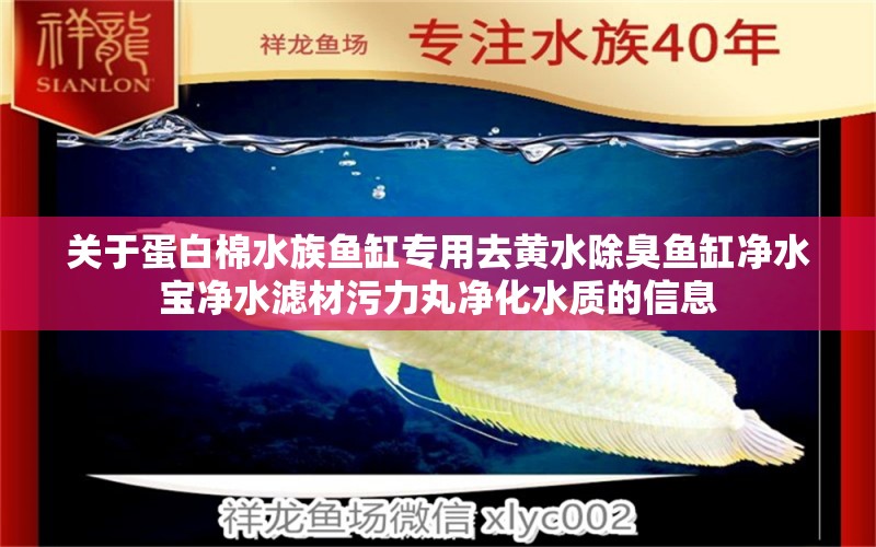 关于蛋白棉水族鱼缸专用去黄水除臭鱼缸净水宝净水滤材污力丸净化水质的信息 广州水族器材滤材批发市场 第1张