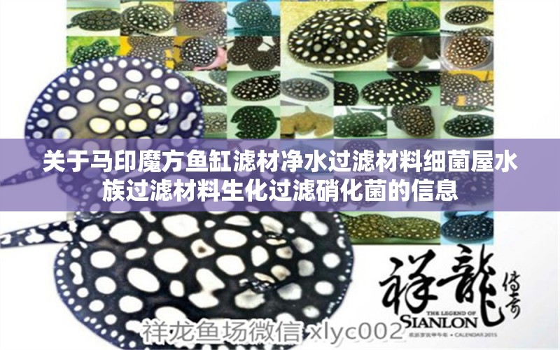 关于马印魔方鱼缸滤材净水过滤材料细菌屋水族过滤材料生化过滤硝化菌的信息