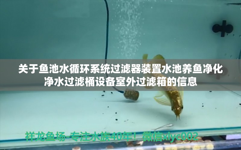 关于鱼池水循环系统过滤器装置水池养鱼净化净水过滤桶设备室外过滤箱的信息