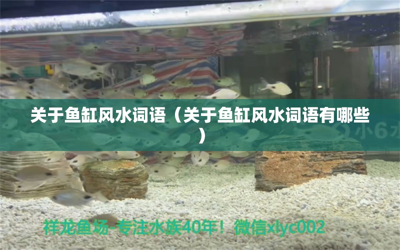 关于鱼缸风水词语（关于鱼缸风水词语有哪些）