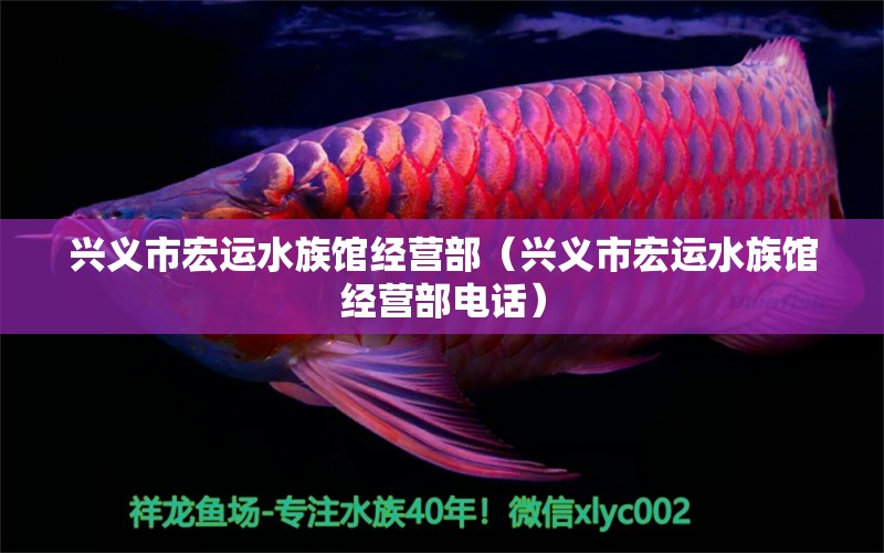 兴义市宏运水族馆经营部（兴义市宏运水族馆经营部电话）