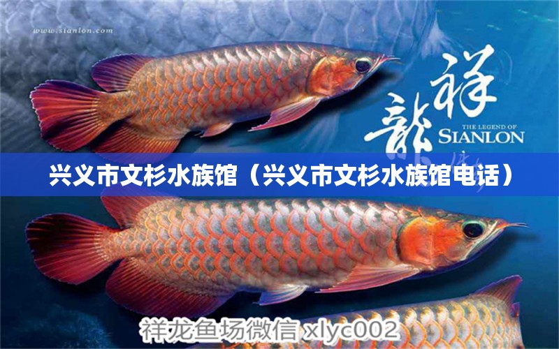 兴义市文杉水族馆（兴义市文杉水族馆电话）