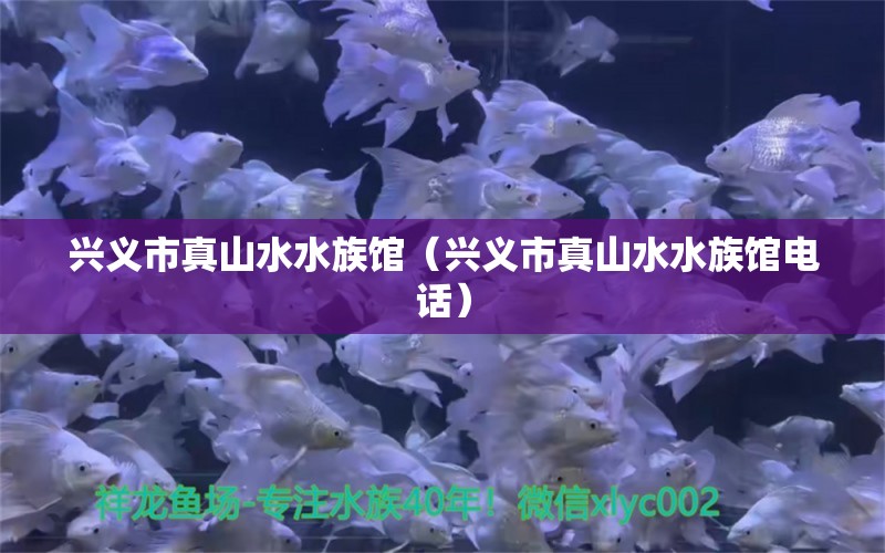 兴义市真山水水族馆（兴义市真山水水族馆电话） 全国水族馆企业名录