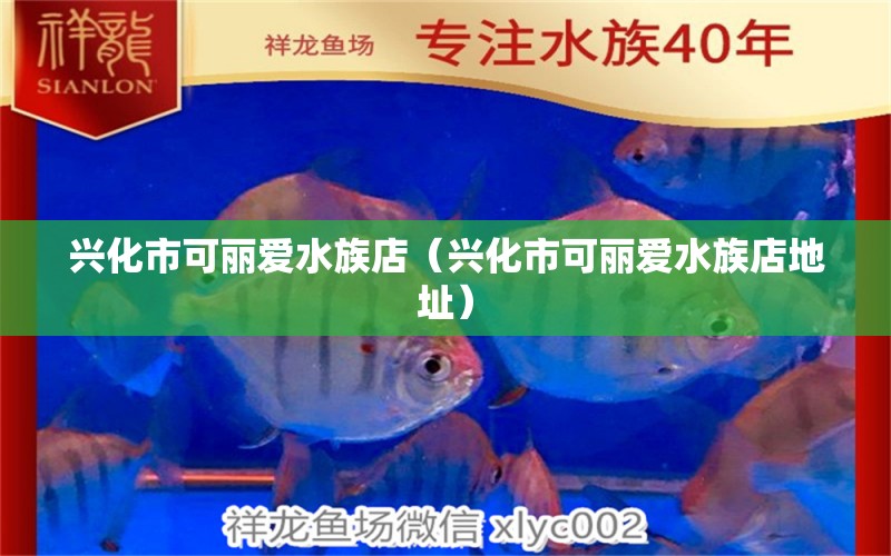 兴化市可丽爱水族店（兴化市可丽爱水族店地址）