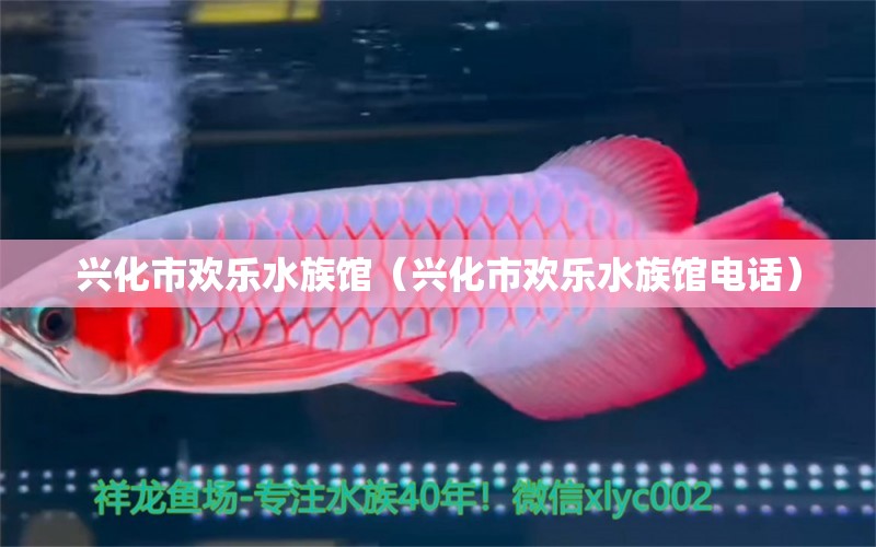 兴化市欢乐水族馆（兴化市欢乐水族馆电话）