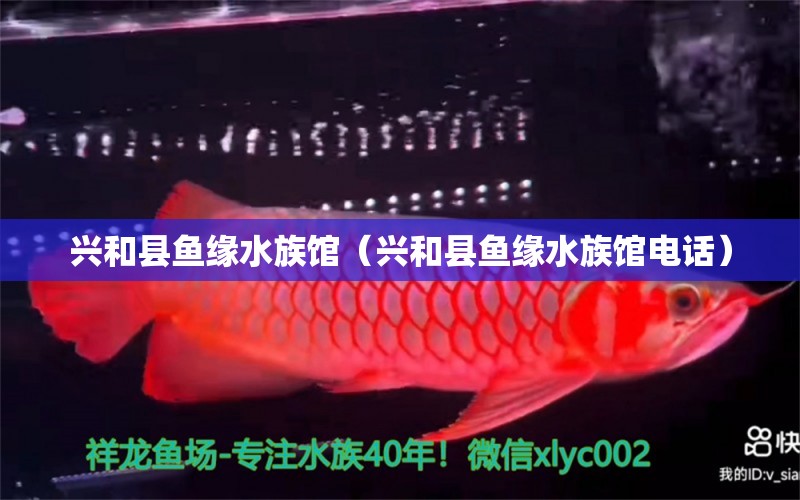 兴和县鱼缘水族馆（兴和县鱼缘水族馆电话） 全国水族馆企业名录