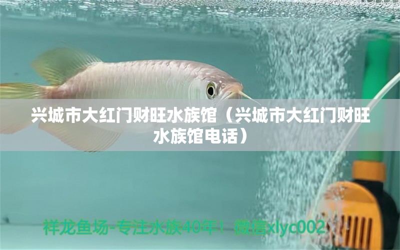 兴城市大红门财旺水族馆（兴城市大红门财旺水族馆电话） 全国水族馆企业名录