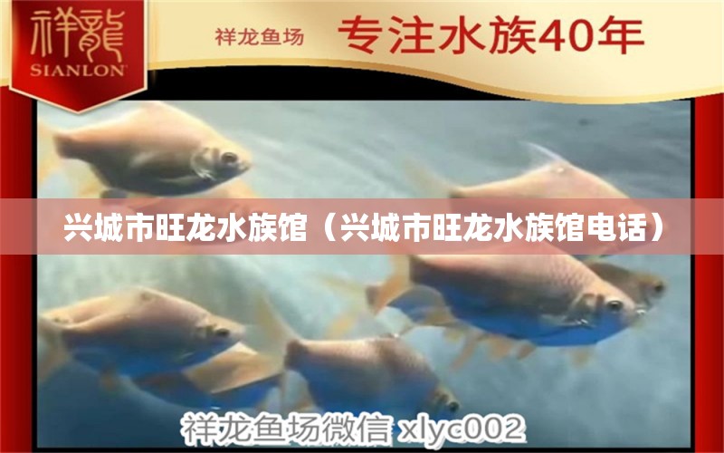 兴城市旺龙水族馆（兴城市旺龙水族馆电话）