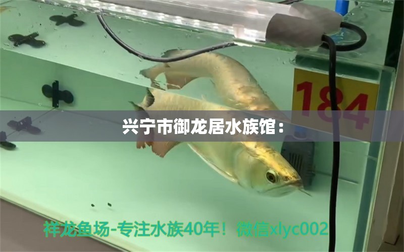 兴宁市御龙居水族馆：