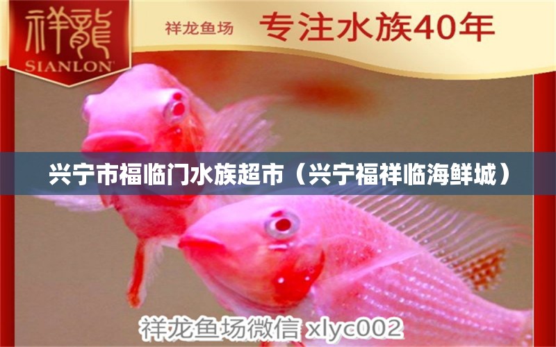 兴宁市福临门水族超市（兴宁福祥临海鲜城）