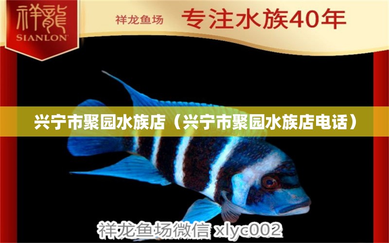 兴宁市聚园水族店（兴宁市聚园水族店电话）