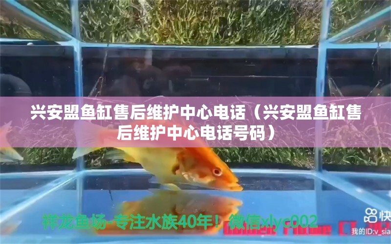 兴安盟鱼缸售后维护中心电话（兴安盟鱼缸售后维护中心电话号码）