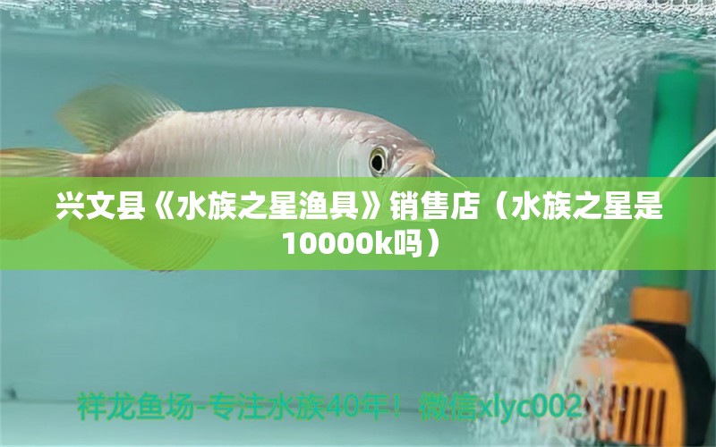 兴文县《水族之星渔具》销售店（水族之星是10000k吗）