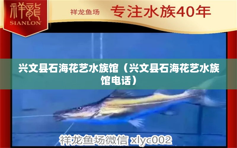 兴文县石海花艺水族馆（兴文县石海花艺水族馆电话）