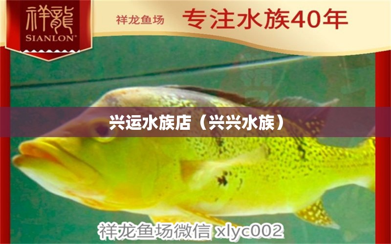 兴运水族店（兴兴水族）