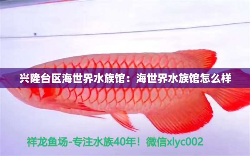 兴隆台区海世界水族馆：海世界水族馆怎么样 全国水族馆企业名录