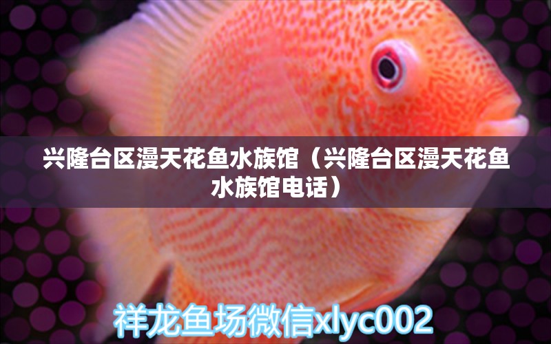 兴隆台区漫天花鱼水族馆（兴隆台区漫天花鱼水族馆电话） 全国水族馆企业名录