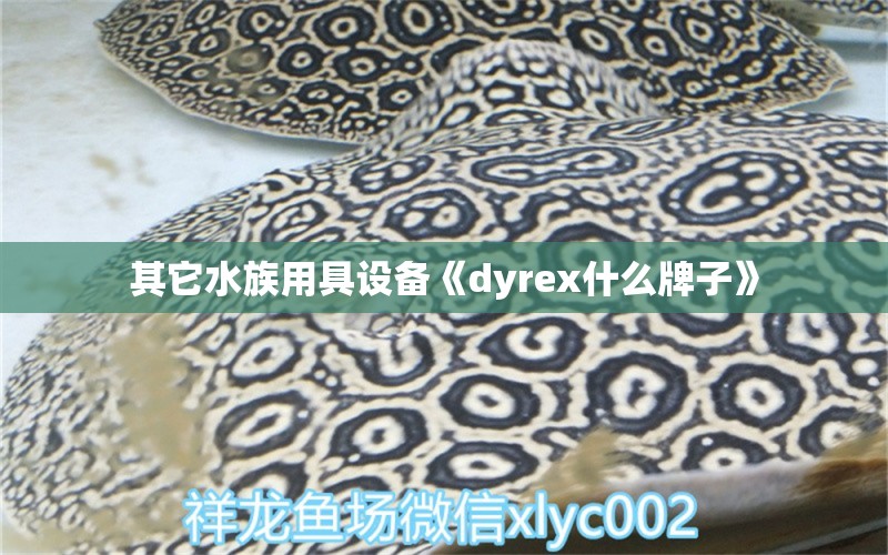 其它水族用具设备《dyrex什么牌子》