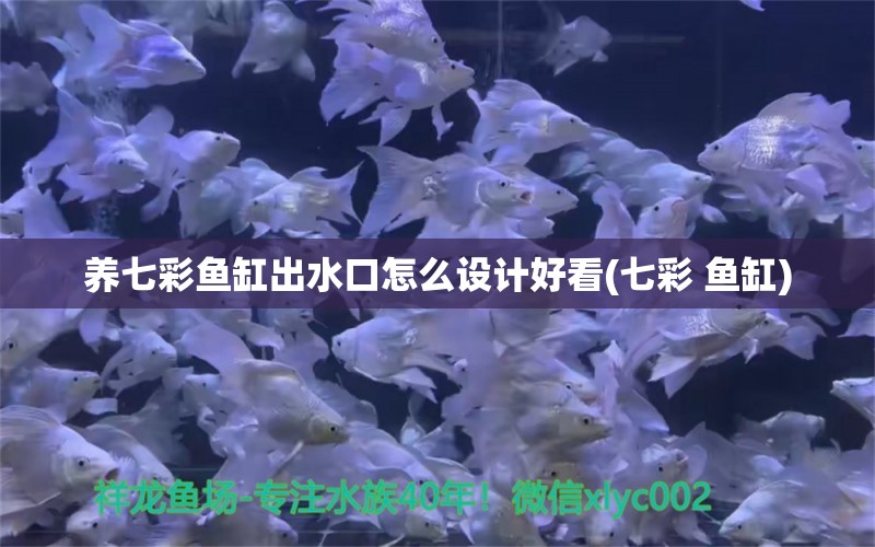 养七彩鱼缸出水口怎么设计好看(七彩 鱼缸) 龙鱼芯片扫码器