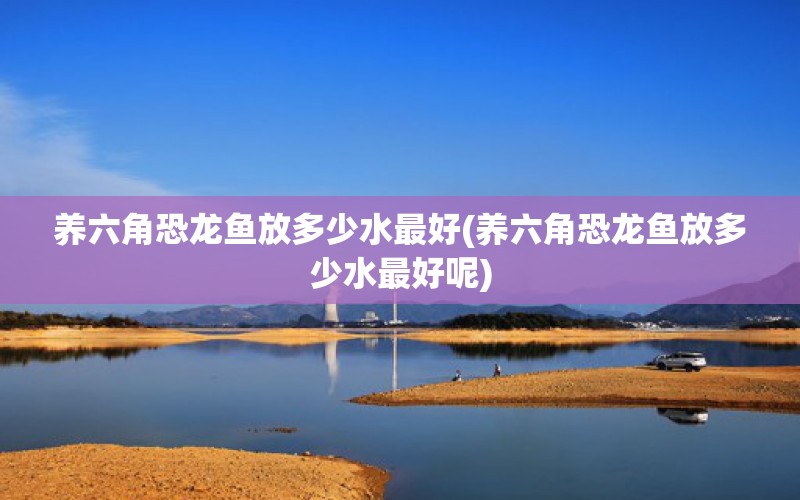 养六角恐龙鱼放多少水最好(养六角恐龙鱼放多少水最好呢) 新加坡号半红龙鱼（练手级红龙鱼）