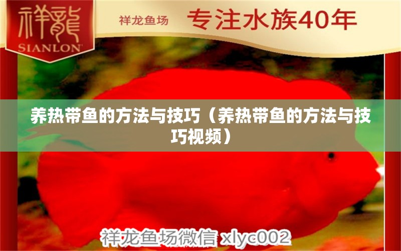 养热带鱼的方法与技巧（养热带鱼的方法与技巧视频） 广州龙鱼批发市场