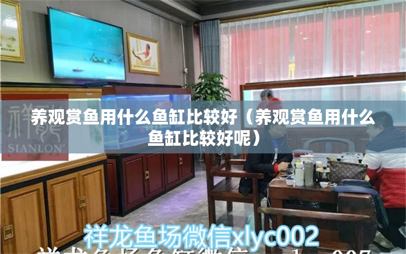 养观赏鱼用什么鱼缸比较好（养观赏鱼用什么鱼缸比较好呢）