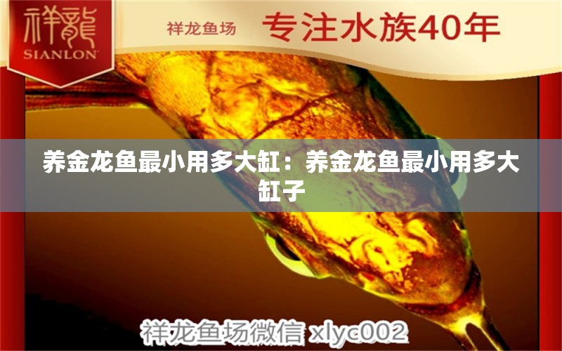 养金龙鱼最小用多大缸：养金龙鱼最小用多大缸子