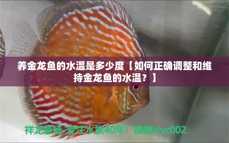 养金龙鱼的水温是多少度【如何正确调整和维持金龙鱼的水温？】 水族问答 第1张