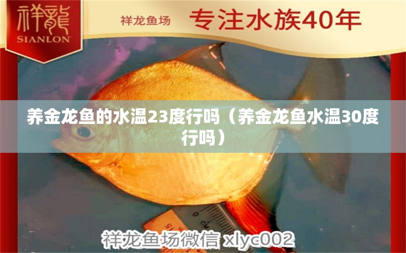 养金龙鱼的水温23度行吗（养金龙鱼水温30度行吗）