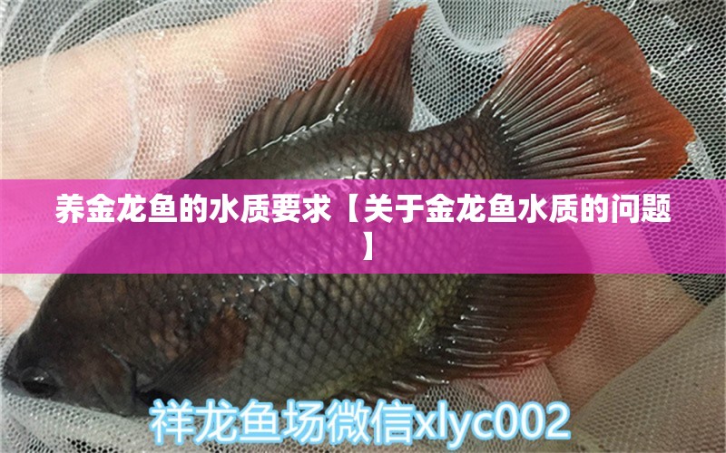 养金龙鱼的水质要求【关于金龙鱼水质的问题】 水族问答 第2张