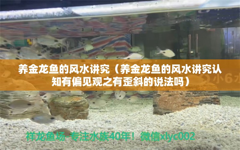 养金龙鱼的风水讲究（养金龙鱼的风水讲究认知有偏见观之有歪斜的说法吗） 鱼缸风水